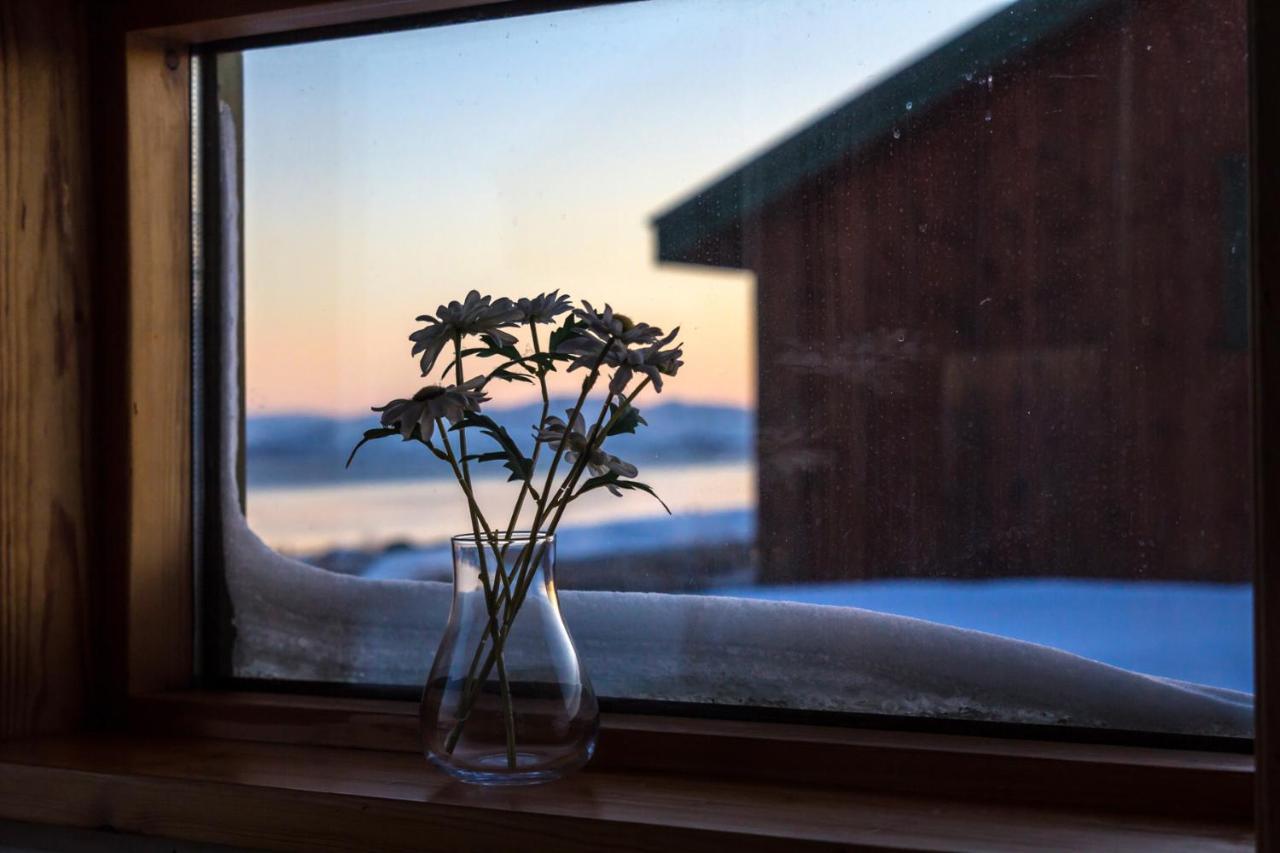Lake Thingvellir Cottages Blaskogabyggd Zewnętrze zdjęcie